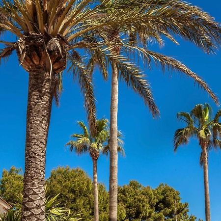 Bonito Apartamento Con Terraza, Jardin Y Piscina Cala 'n Bosch Buitenkant foto